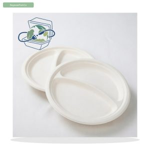 9" Square Heavy-Duty Bagasse Dinner Plate