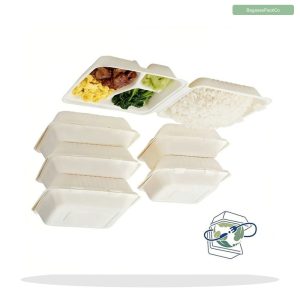 Bagasse Clamshell Box 9" x 9" (2-Compartment)