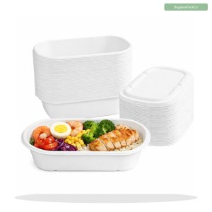 Bagasse Food Container with Leak-Resistant Pulp Lid