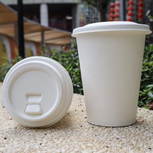 Bagasse Hot Cup 12 oz with Lid bagasse hot cup supplier with compostable lid wholesale