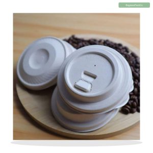 Bagasse Hot Cup 8 oz with Pulp Cup Lid