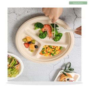 Bagasse Plate 10 Inch (Dinner, Heavy-Duty)