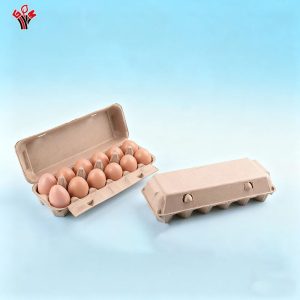 Molded Pulp Egg Tray eco compostable food packaging wholesale