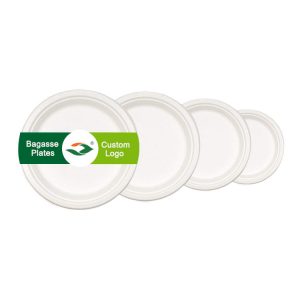 Round Sugarcane Bagasse Plates 6 8 & 10 bagasse plate supplier wholesale & bulk