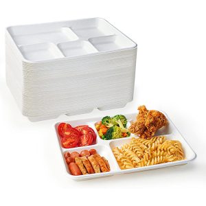 Bagasse 5-Compartment Serving Dish / Tray bagasse serving tray supplier bulk