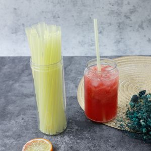 Edible Rice Drinking Straw compostable cutlery manufacturer bulk biodegradable